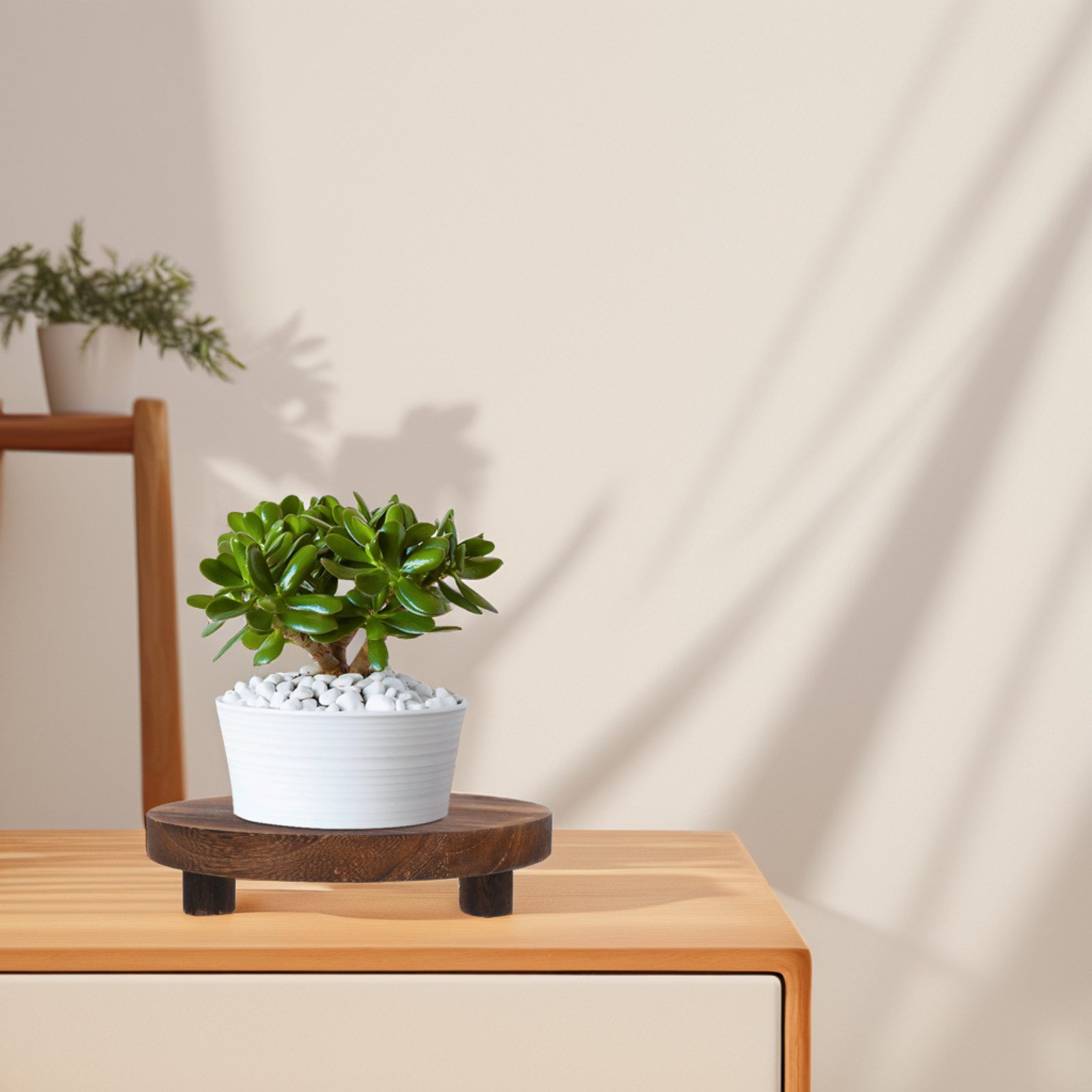 3-delige set plantenstandaards - Display Risers Set recensie en prijs