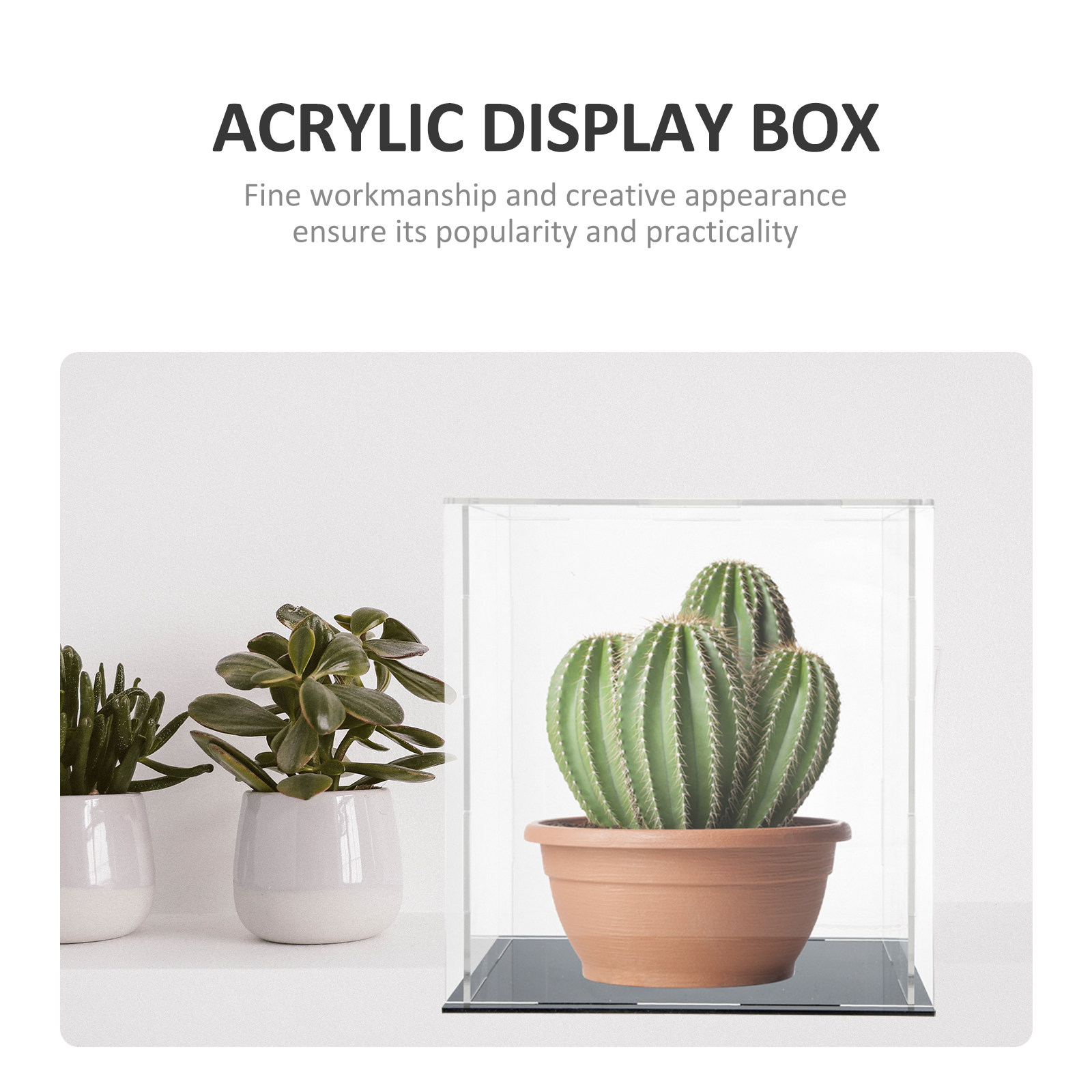 Stevige acryl displaybox, tran - Display Case Acrylic recensie en prijs