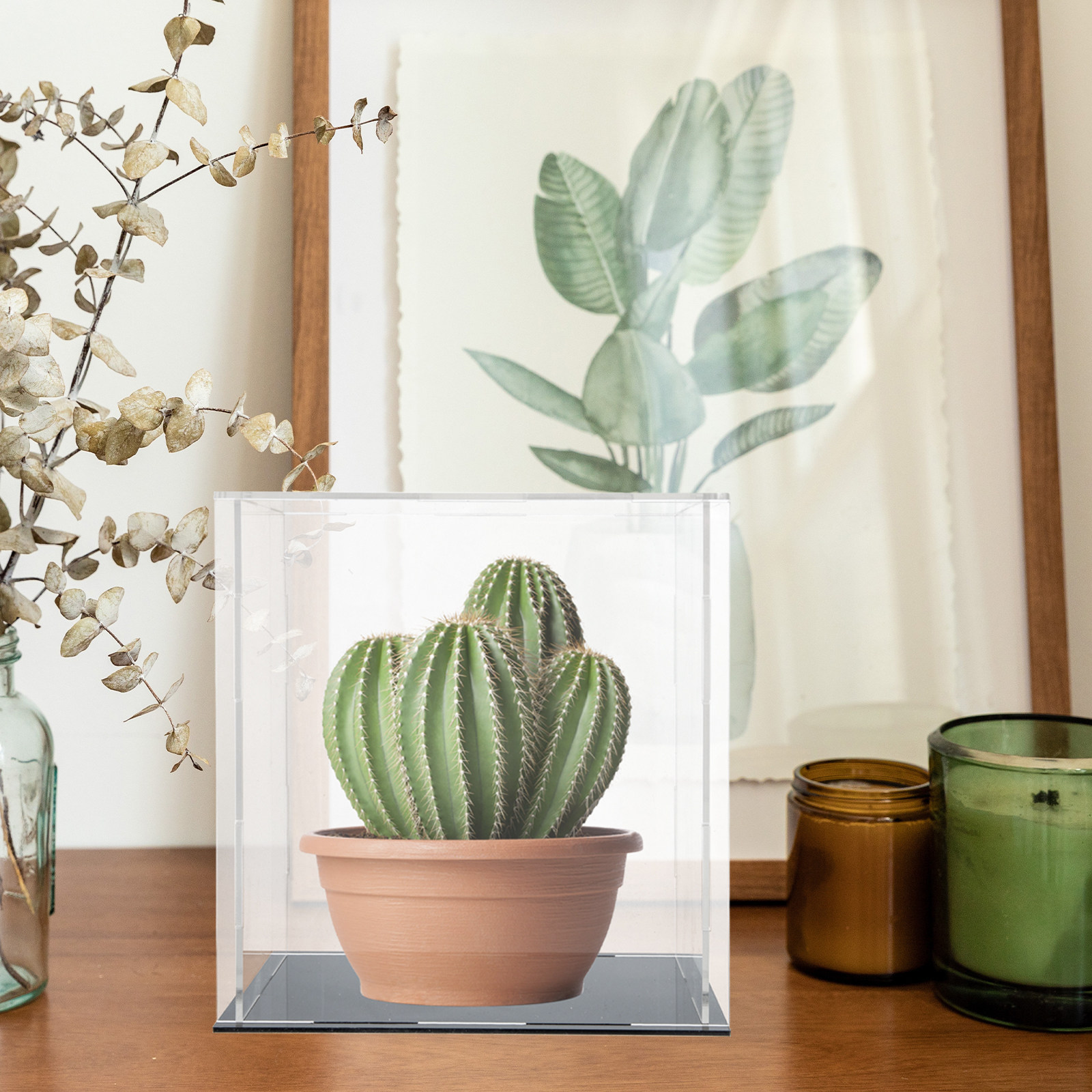 Stevige acryl displaybox, tran - Display Case Acrylic recensie en prijs