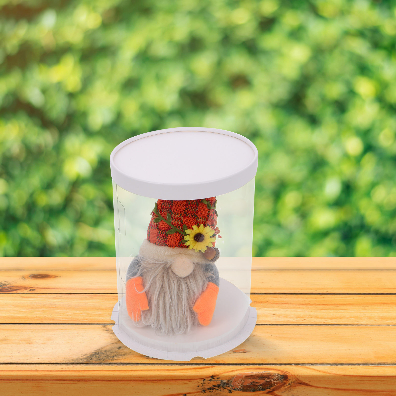Displaydoos, transparante acry - Display Case Acrylic recensie en prijs